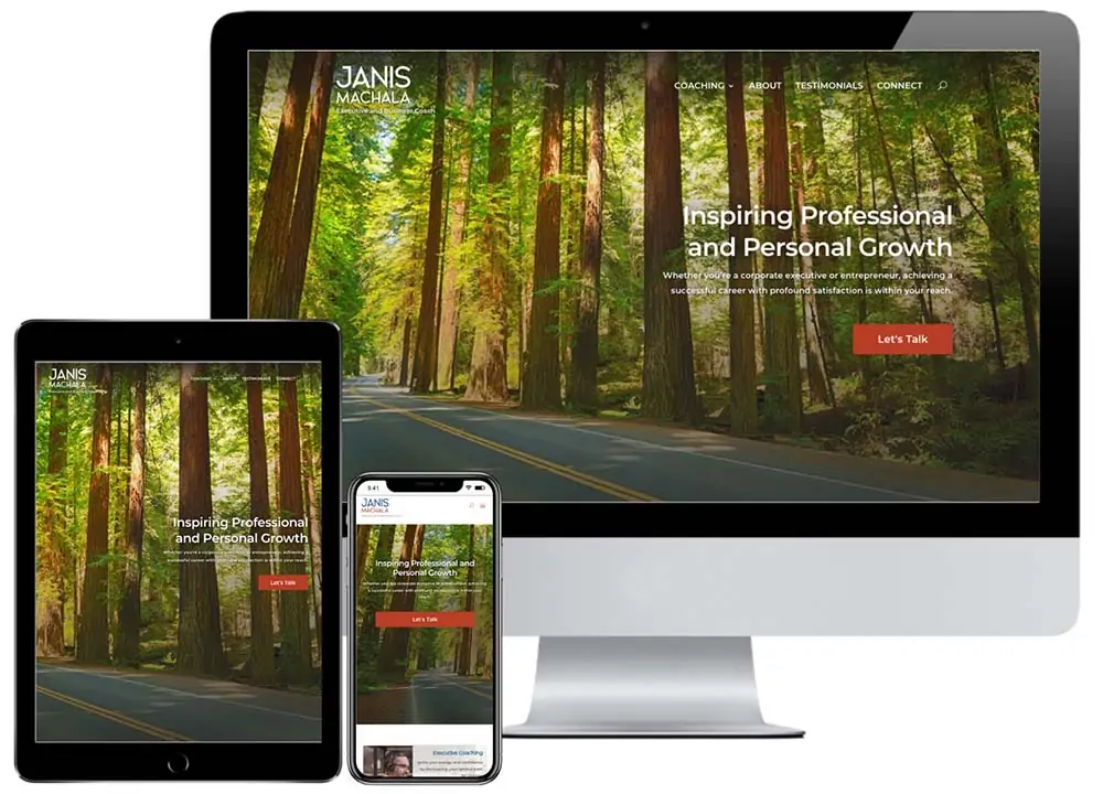 Janis Machala - JF Designs Web Design Work Portfolio Janis Machala - JF Designs Web Design Work Portfolio